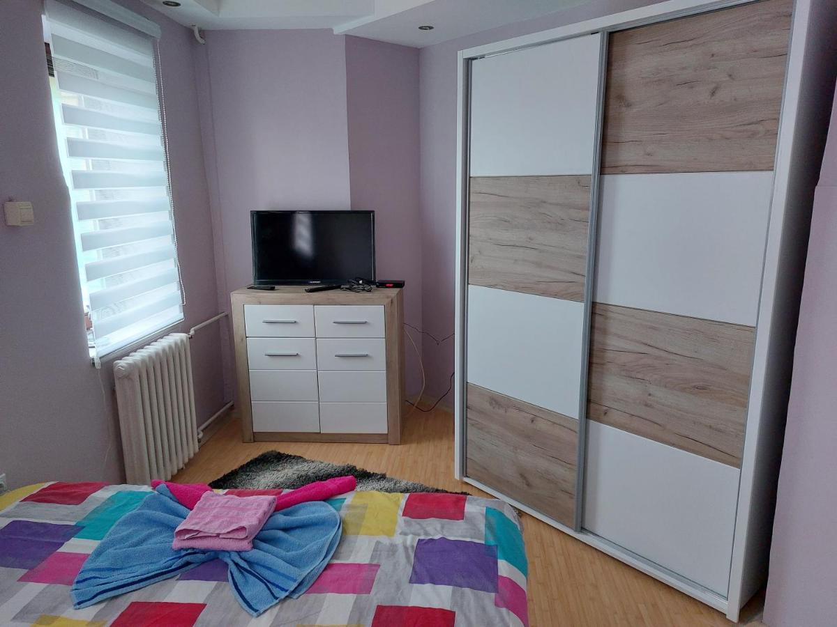 N&N Apartment Vrsac Dış mekan fotoğraf